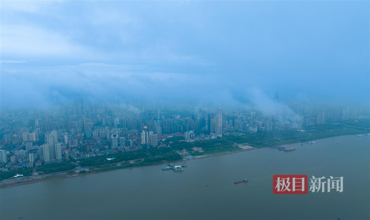 菠菜网下载